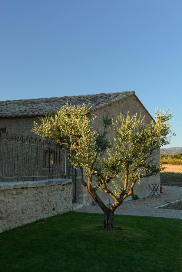 Bed & Breakfast La Bastide Neuve